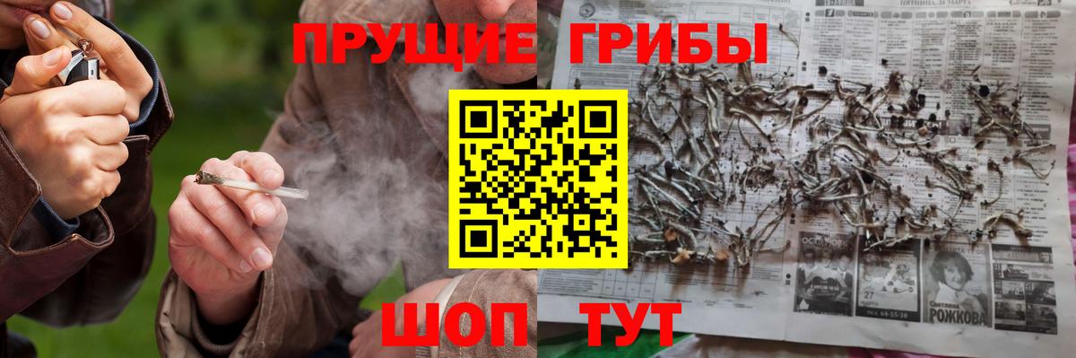Галлюциногенные грибы ЛСД  Псилоцибиновые грибы MAGIC MUSHROOMS  Вход с VPN  Вичуга 