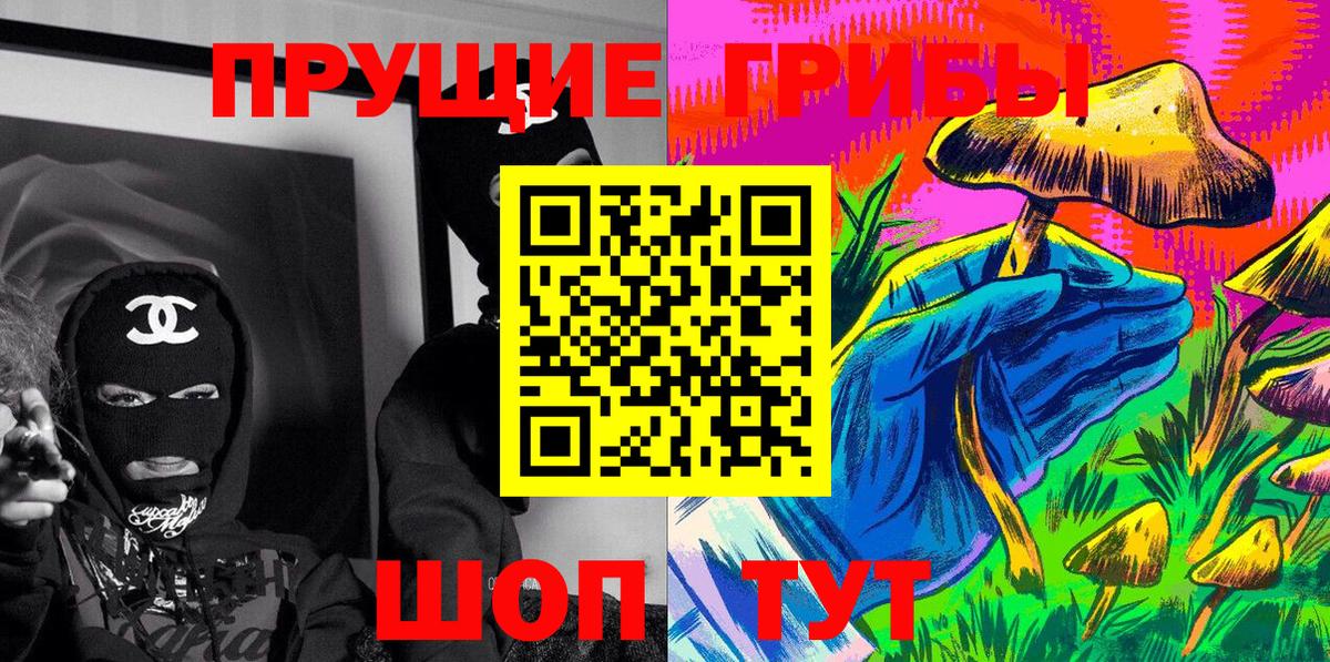 Псилоцибиновые грибы Psilocybe Вичуга